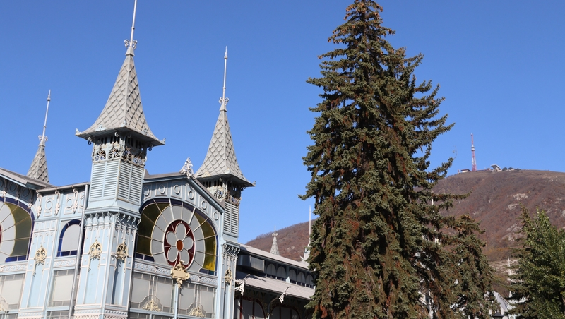 Администрация Пятигорска запустила опрос о культурном коде курорта