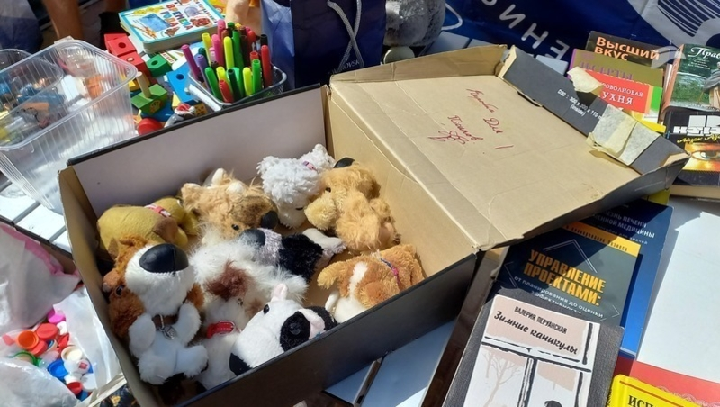 Акция по сбору вторичного сырья пройдёт в Пятигорске 9 февраля