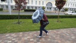 Ставропольцев предупредили о сильных дождях 23 июля