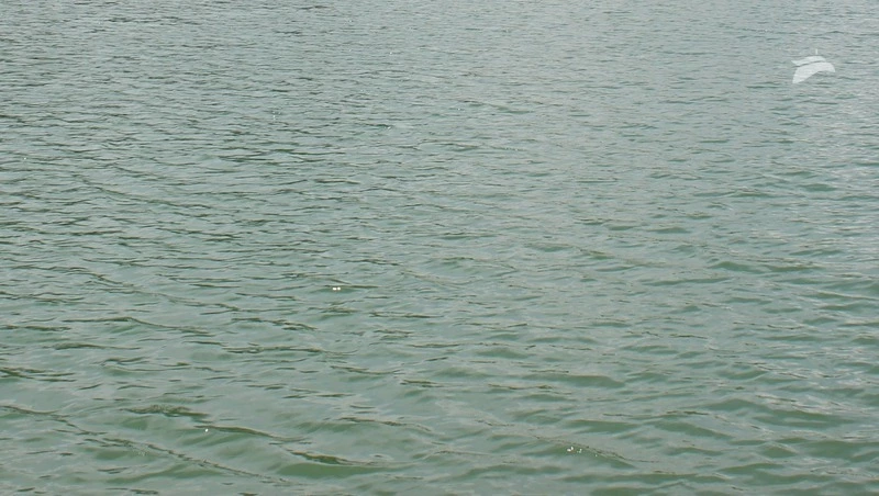 В Пятигорске очистят берега рек и водоёмов в ходе субботников