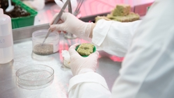 Более 2,5 тыс. учеников Ставрополья получат образование в «Сириусе 26»