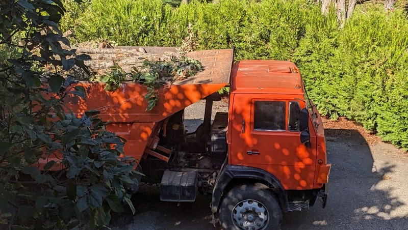 Активисты из Пятигорска жалуются в прокуратуру на вырубку деревьев в кемпинге