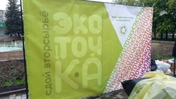Вторсырьё сдадут на переработку в рамках экоакции в Пятигорске 