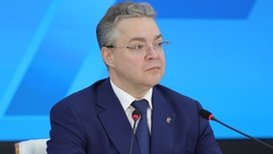 Губернатор Владимиров проведёт прямую линию 2 июля