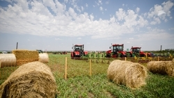 Проведение «Всероссийского дня поля» поможет найти решение вопросов АПК — губернатор Ставрополья