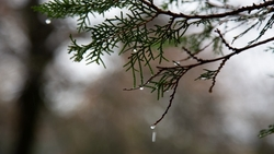 Облачная погода и дождь ожидаются в Пятигорске 24 апреля