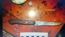 Житель Пятигорска обвиняется в убийстве матери и сводной сестры