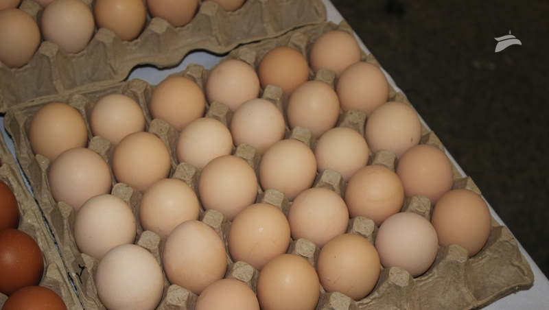 Соглашение о сдерживании роста цен на продукты заключили на Ставрополье