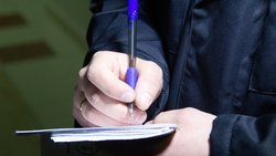 Любитель видеоигр из Пятигорска «наиграл» на уголовный штраф