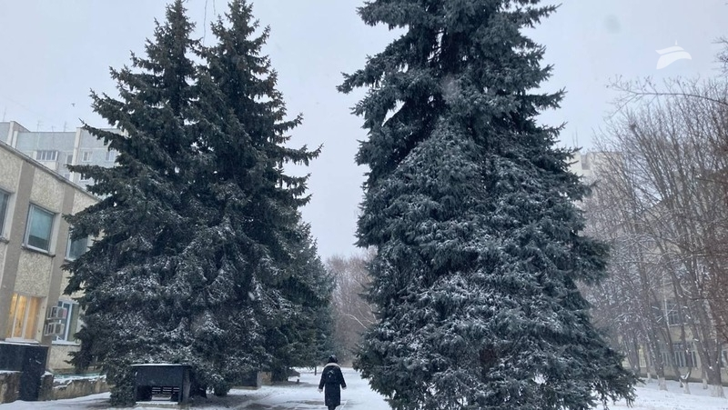 Снег и пасмурная погода -4 градуса ожидаются в Пятигорске 28 февраля