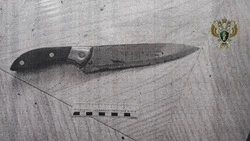 Пятигорчанина осудили на 14 лет за убийство и покушение на семейную пару