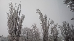 В Пятигорске на горе Горячей и на склонах Михайловского отрога ограничили движение из-за погоды 