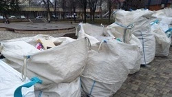 Обмен книгами и помощь природе: как прошла «Экоточка» в Пятигорске 15 марта