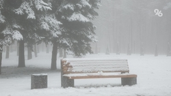 Жителям Ставрополья рекомендуют воздерживаться от выхода на улицу до 2 марта