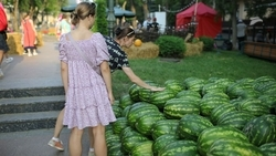 Пятая часть выручки с фестиваля «КислоVольт-220» пойдёт на поддержку бойцов СВО