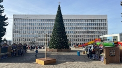 Пятигорских школьников поздравили с наступающим Новым годом у главной ёлки