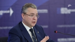 По поручению главы Ставропольского края в регионе организуют большую весеннюю уборку