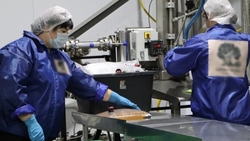 Ставрополье отгрузило товаров на 145,6 млрд рублей за 9 месяцев