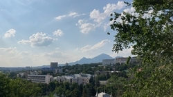 Всероссийский проект «Сохраним лес» поможет высадить 1500 деревьев в Пятигорске