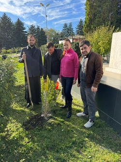 Деревья граната высадили в Пятигорске возле сельского дома культуры 