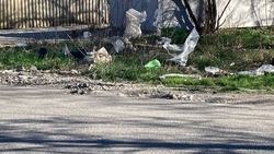 Последствия урагана ликвидируют в Пятигорске