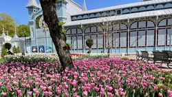 Пятигорск стал одним из самых популярных российских направлений для коротких поездок на 8 Марта