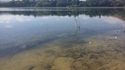 Старое озеро в Кисловодске откроют после благоустройства фестивалем форелевой рыбалки 