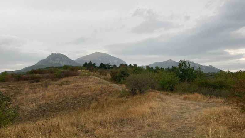 Выставка к годовщине Русского географического общества открылась в Лермонтове