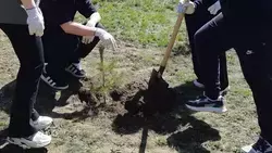 Серия субботников «Мы за чистоту» пройдёт на Ставрополье с 18 апреля по 3 мая