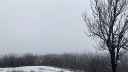 Мокрый снег и туман ожидаются в Пятигорске 28 ноября