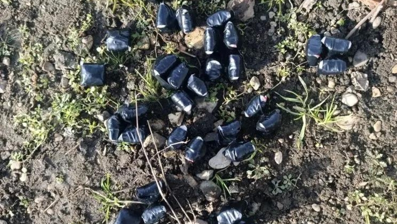 Иностранца с крупной партией синтетических наркотиков задержали в Пятигорске