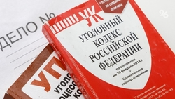 Перелом грудного позвонка получил 10-летний мальчик на батутах в Пятигорске