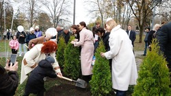 Посадить дерево в Комсомольском парке Пятигорска сможет любой желающий