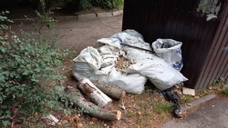 Как соблюдают санитарные нормы на площадках для мусора в Пятигорске 