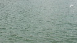 В Пятигорске очистят берега рек и водоёмов в ходе субботников