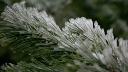 Губернатор Ставрополья предупредил о предстоящих дождях и заморозках