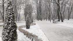 Небольшой снег с дождём прогнозируют 20 марта в Пятигорске