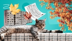 Отопительный сезон пришёл на Ставрополье: куда обращаться, если в квартире холодно, и что делать при аварийной ситуации