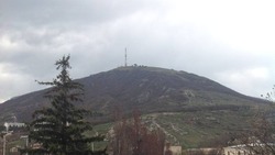 Крымскую сосну на вершине Машука в Пятигорске высадят в ходе экоакции