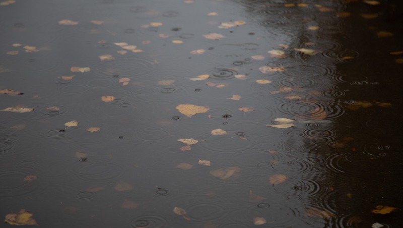 Понижение температуры и ночной дождь ожидает Пятигорск 17 ноября
