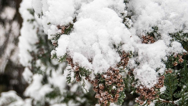 Сильный снег и пасмурная погода ожидаются в Пятигорске 19 февраля