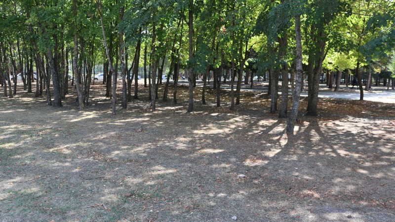 Комсомольский парк в Пятигорске: как доехать, что посмотреть, где погулять и заняться спортом