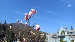 Всероссийский фестиваль дизайна состоится в Ставропольском крае  