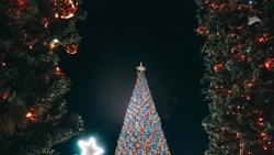 Новогодняя ночь в Ставропольском крае прошла спокойно