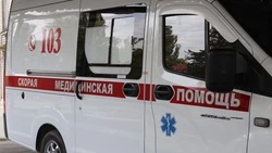 Два человека пострадали в Пятигорске из-за наезда на дерево