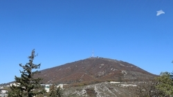 Общегородской субботник состоится в Пятигорске 15 марта