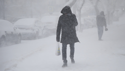 Пятигорчан просят быть осторожными на улицах из-за непогоды