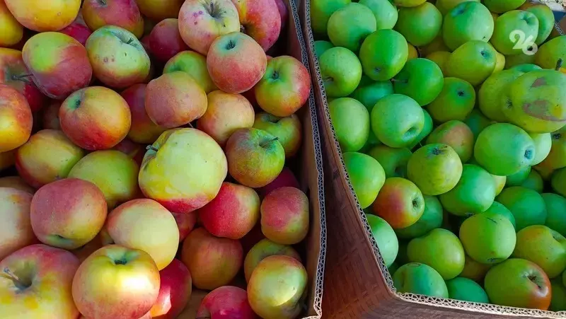 Жителей и гостей Пятигорска пригласили на продуктовую ярмарку 14 марта