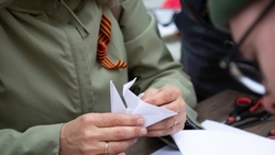 Программу мероприятий к 80-летию Победы обсудили с губернатором Ставрополья