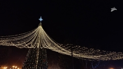 Новогоднюю ёлку начали устанавливать в Пятигорске 27 ноября